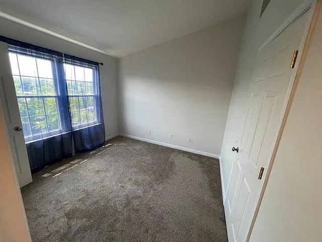 8185 Halley Ct — Photo 15