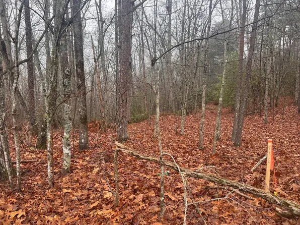 97ACRE Winchester Creek Rd, Young Harris, GA 30582