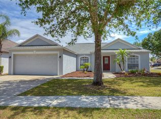 909 Pyrite Ct, Valrico, FL 33594