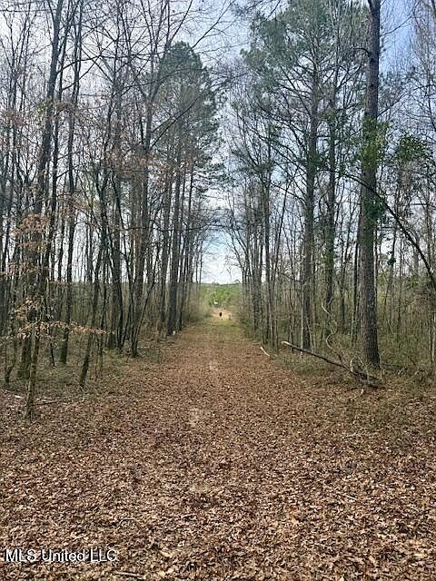 1st image of Beartown Rd