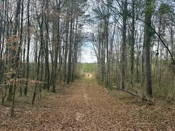 Beartown Rd, Jayess, MS 39641
