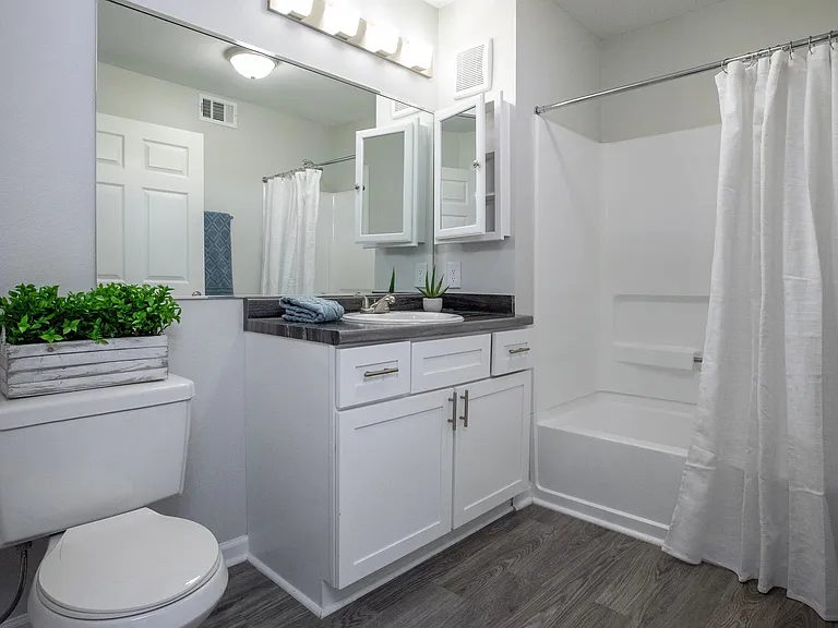 Modern vanity lighting, a spacious mirror, and a convenient medicine cabinet complement the Carrara marble-style countertop and pristine shower area in our thoughtfully designed bathroom.