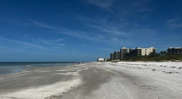 1085 Gulf Of Mexico Dr #203 — Photo 53