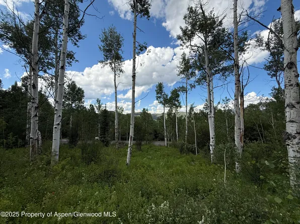 521 Faraway Rd, Snowmass Village, CO 81615