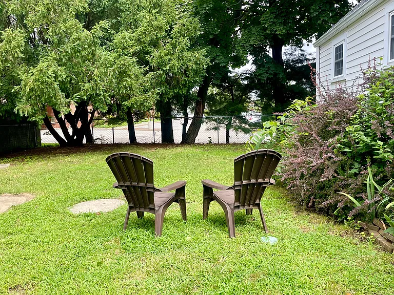 looking at the yard from kitchen window.