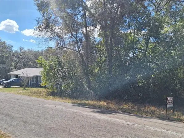 6600 N PAGODA TREE TERRACE LOT 28, HERNANDO, FL 34442