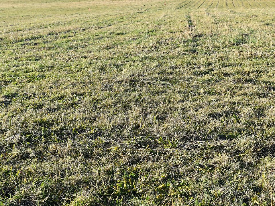 2nd image of 4 McCleary Rd Lot 4