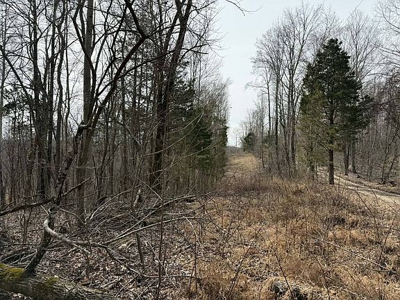 3rd image of 0 Malone Ridge Rd