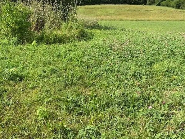 0 Wyatt Falls Ct, Leesburg, OH 45135