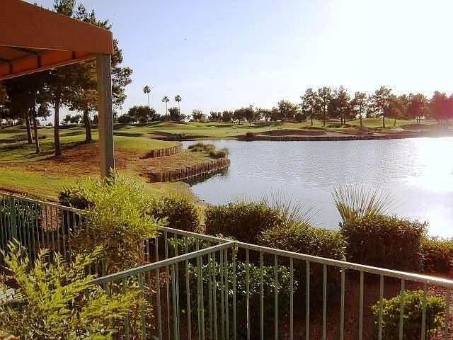 View from the Unit