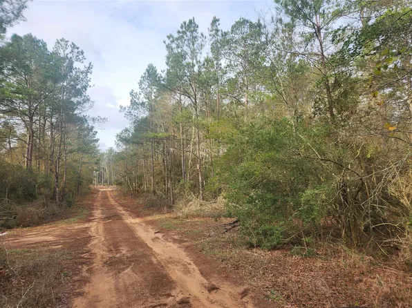 LOT 5 Pin Oak Dr, Plantersville, TX 77363