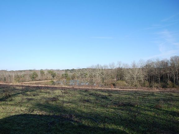 3rd image of 0 County Road 603