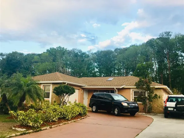 1411 Boreas Dr, Orlando, FL 32822