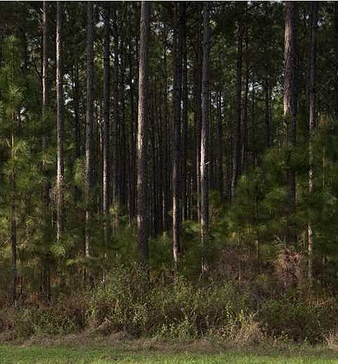 1st image of 186 Wide Water Cir