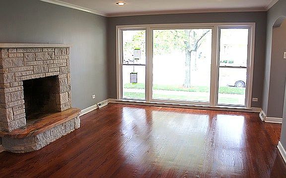 Wood Burning Fireplace