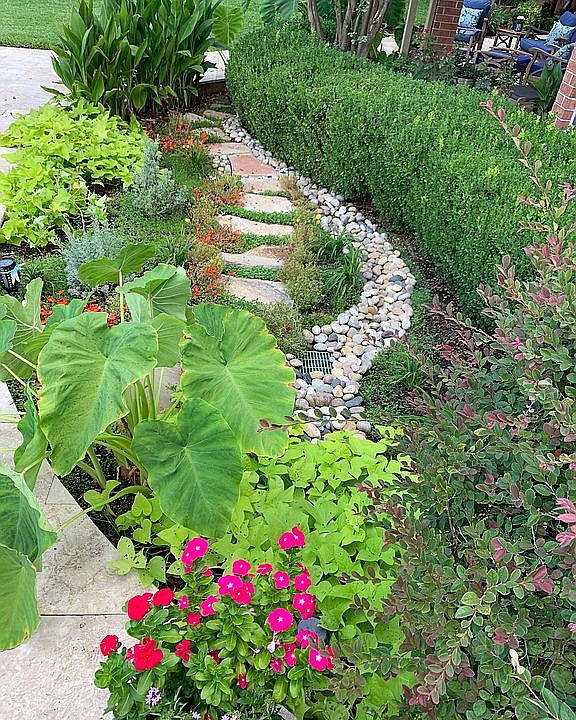 Summer Garden by Pool