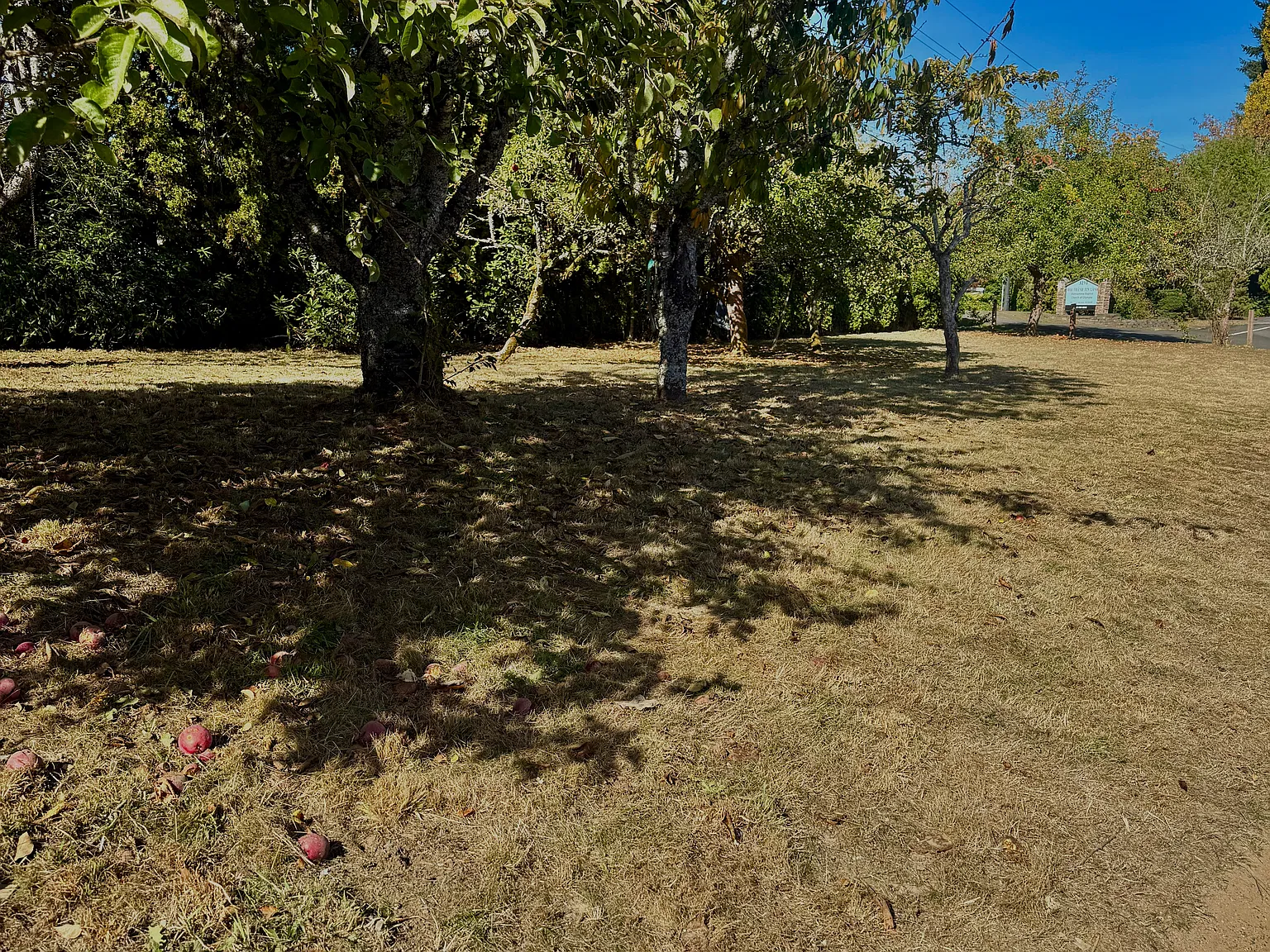 3 bed, 1300 sqft, $2,000 — Photo 2