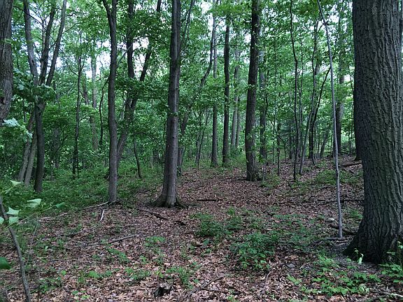 5th image of Clay Hill Road