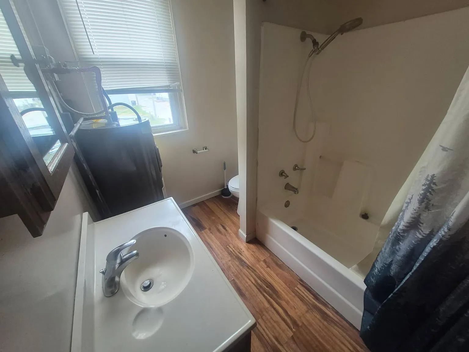 1 bed, 700 sqft, $800 — Photo 3