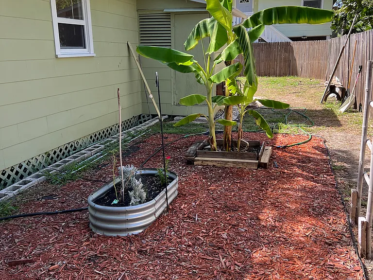 fenced in side yard and utility shed