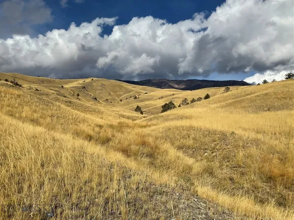 Nhn Freedom Trl, Belfry, MT 59008