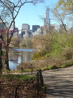 Rented by Keller Williams NYC | media 23