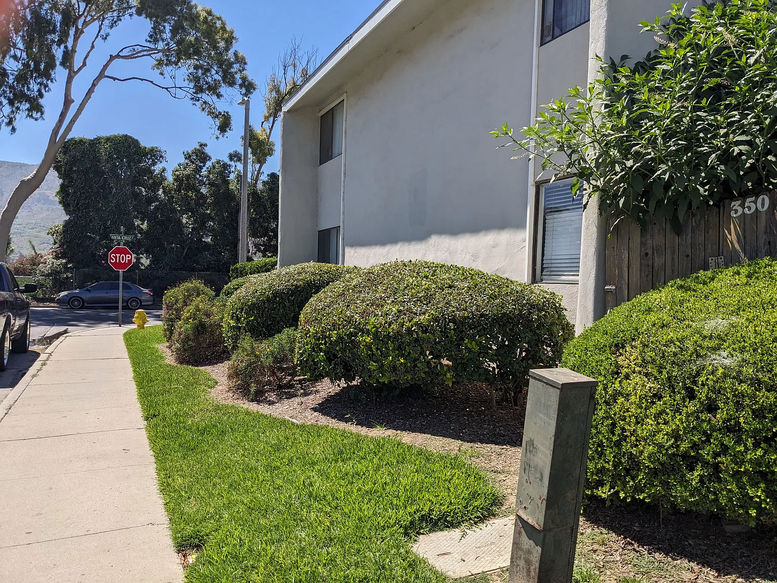 Steckel Apartments — Photo 3
