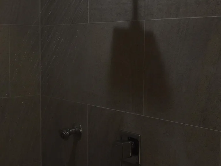 Master Bath with shower