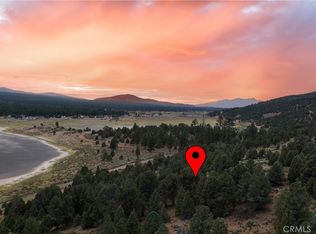 2783 Erwin Ranch Rd, Big Bear City, CA 92314
