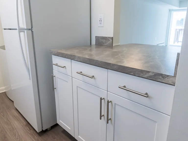 Sample Kitchen