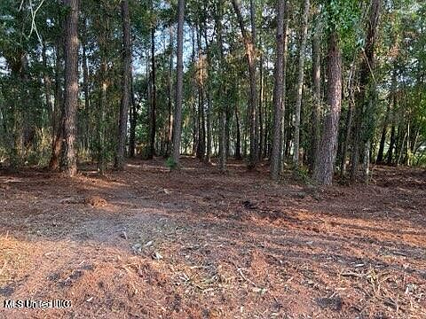 2nd image of 0 Ocean Springs Rd