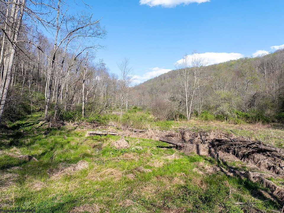 1st image of LOT 1 Squires Run Rd