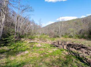 LOT 1 Squires Run Rd, Reedsville, WV 26547