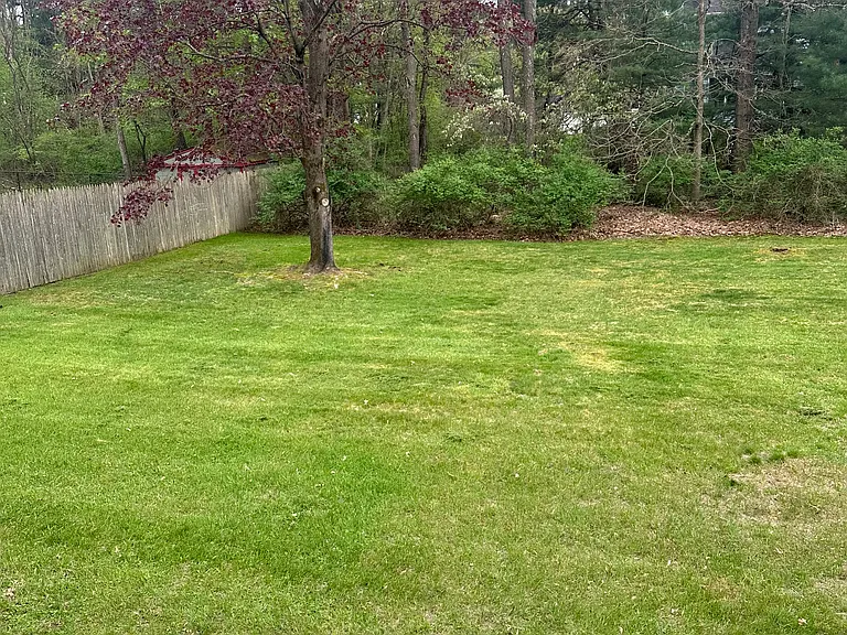 Spacious backyard