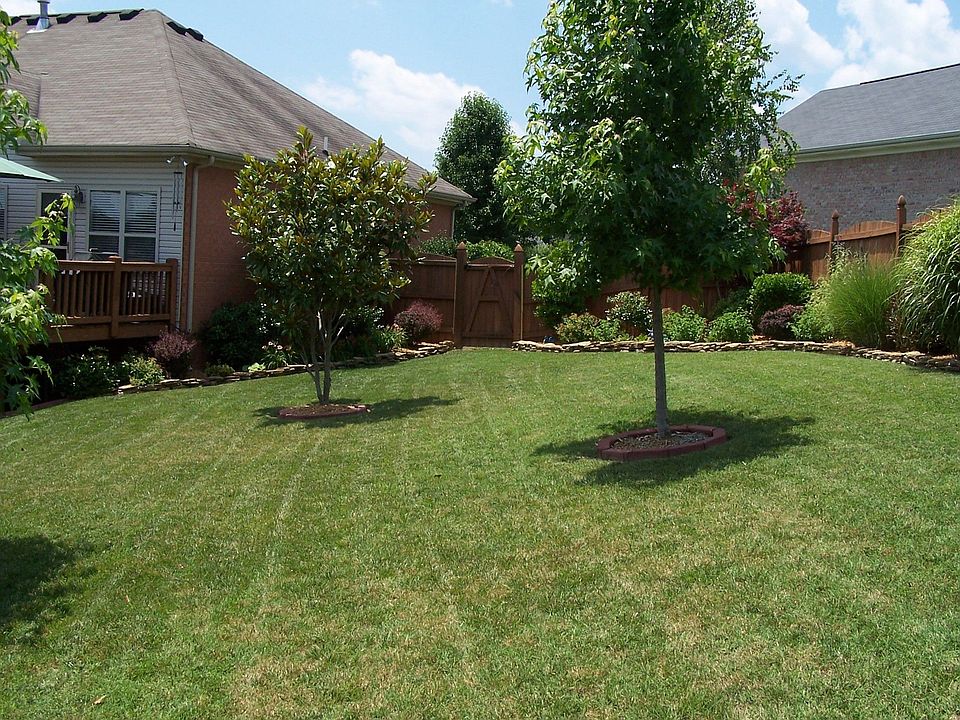 Manicured Lawn