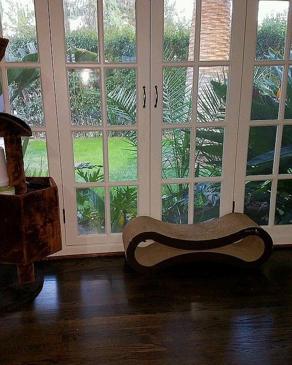 View from living room