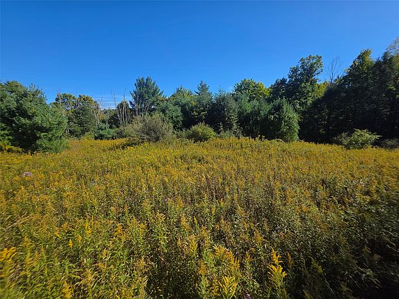 5th image of 125 Frost Hollow Rd W