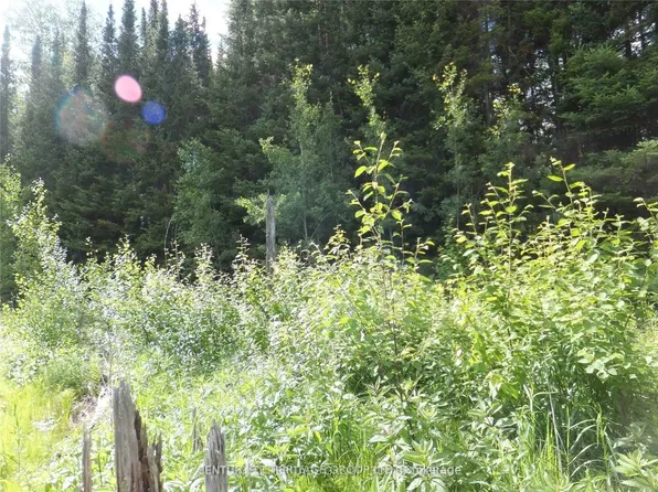 2098 Glamor Lake Rd, Highlands East, ON K0M 1S0