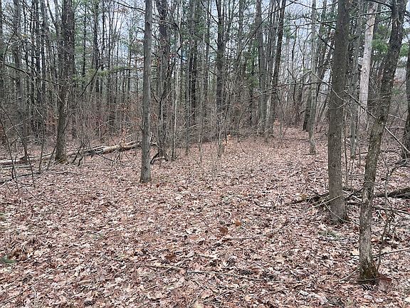 5th image of 0 Welty Rd Lot Wp003