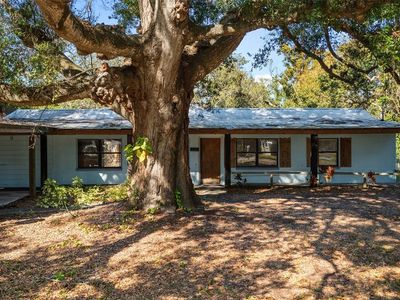 1715 W Overpar Dr, Tampa, FL, 33612