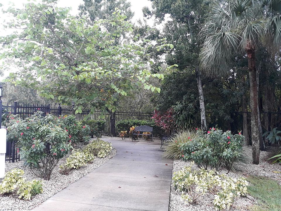 Foilage at inside of front gate