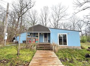 1010 Mead Ln, Ironton, MO
