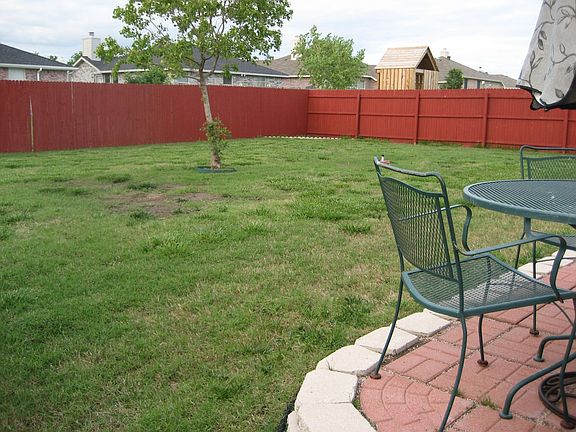 Back yard