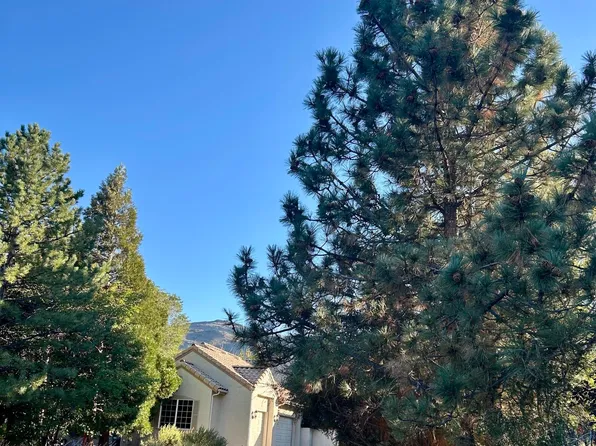 4465 Starwood Ct, Reno, NV 89519