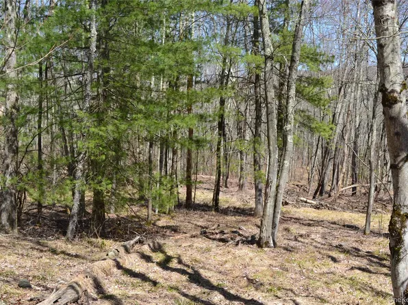 0 Garden House Road, Liberty, NY 12747