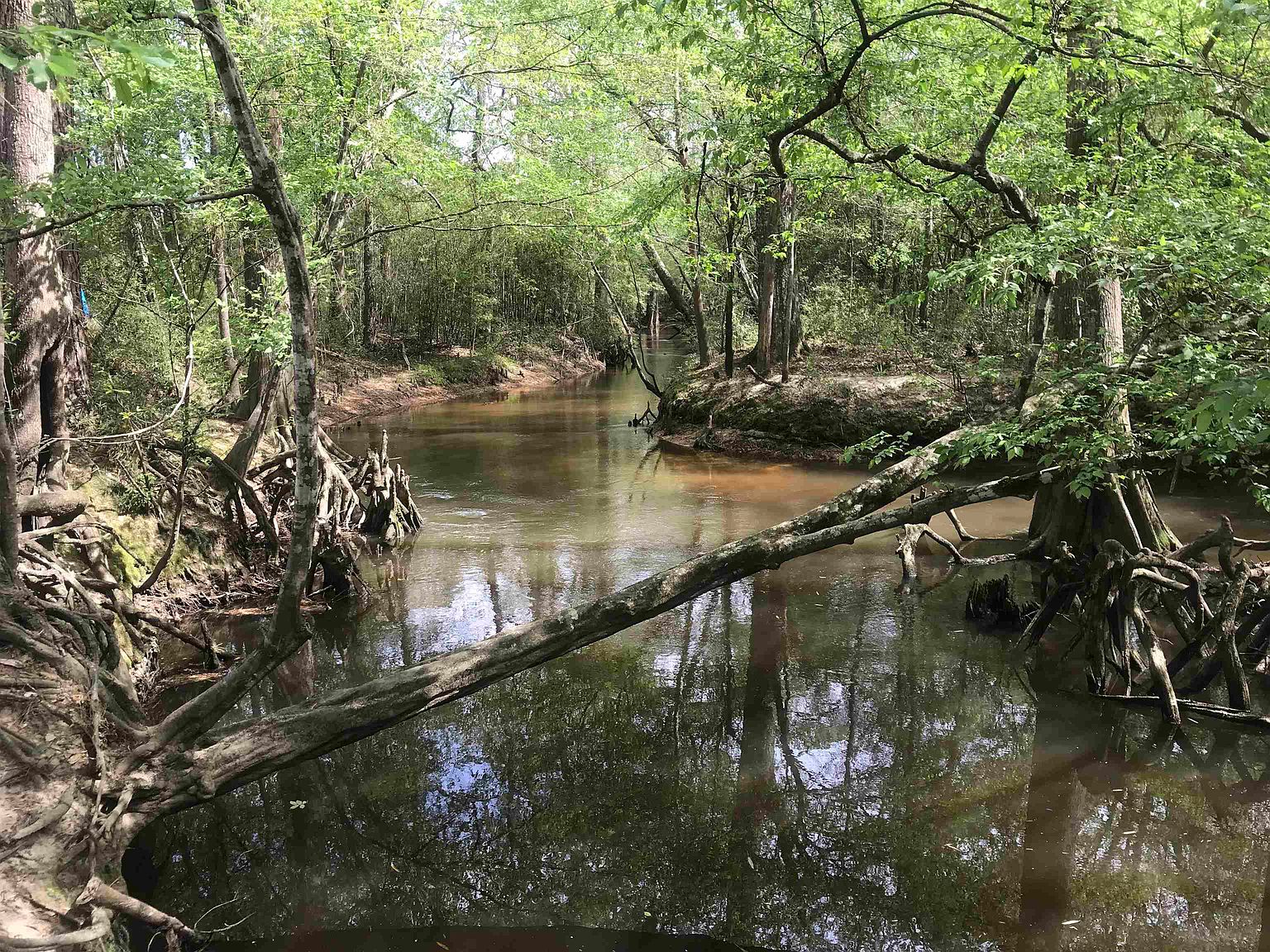 10696 Fm 777, Jasper, TX 75951 Zillow