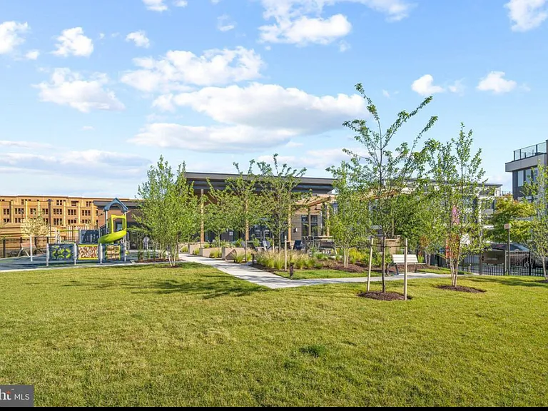 community green lawn space