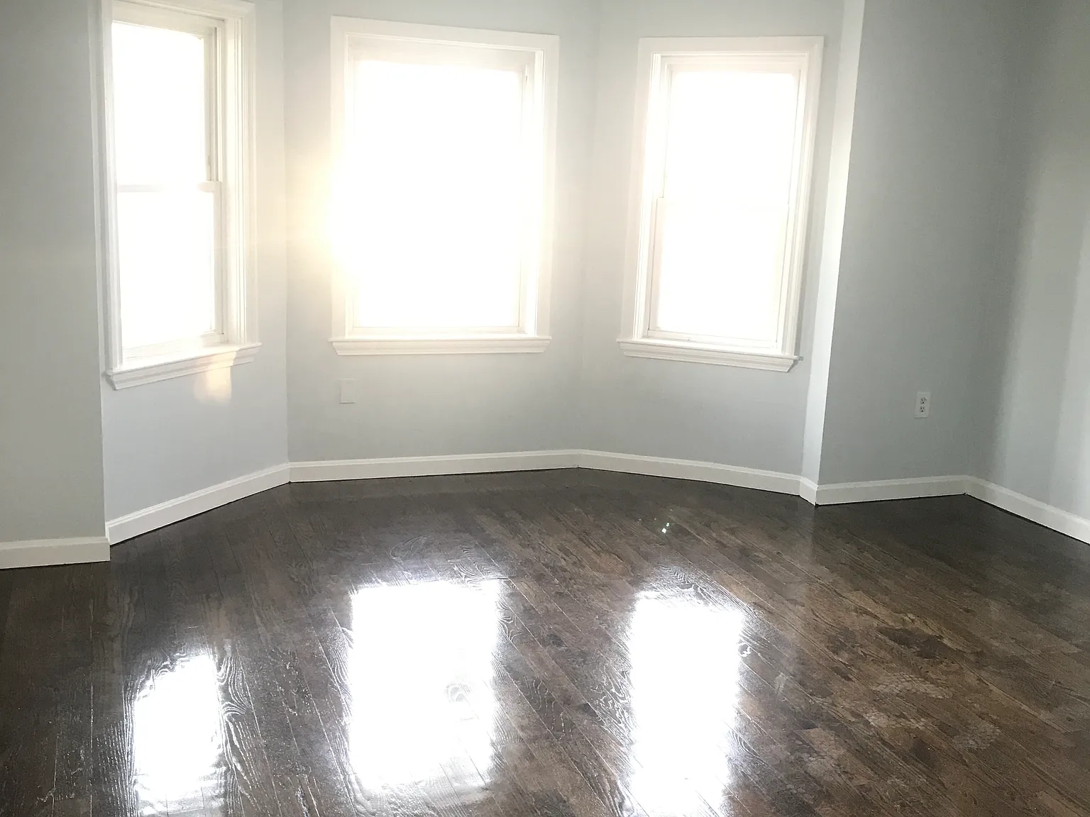 806 Warren Ave — Photo 4