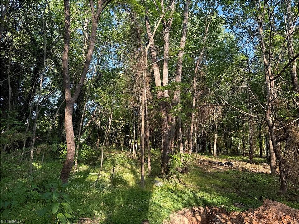 2nd image of 0 Courtney Huntsville Rd