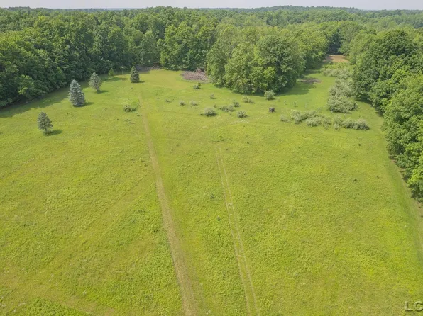 18250 Mahrle Rd, Manchester, MI 48158
